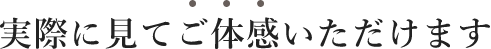 実際に見てご体感いただけます